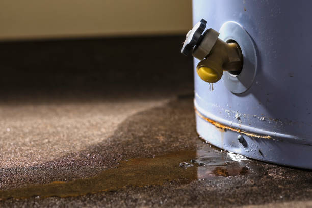 Best Local water damage restoration  in Mulberry, IN