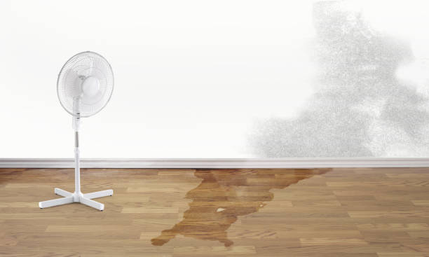 Best 24-hour water damage restoration  in Mulberry, IN