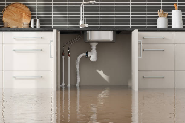 Best Carpet water damage restoration  in Mulberry, IN