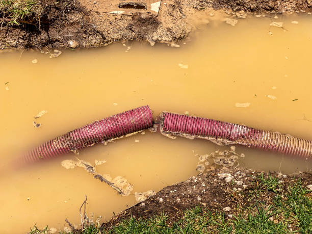 Trusted IN Water damage restoration Experts