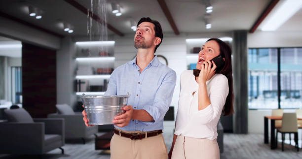 Best Flooded house restoration  in Mulberry, IN